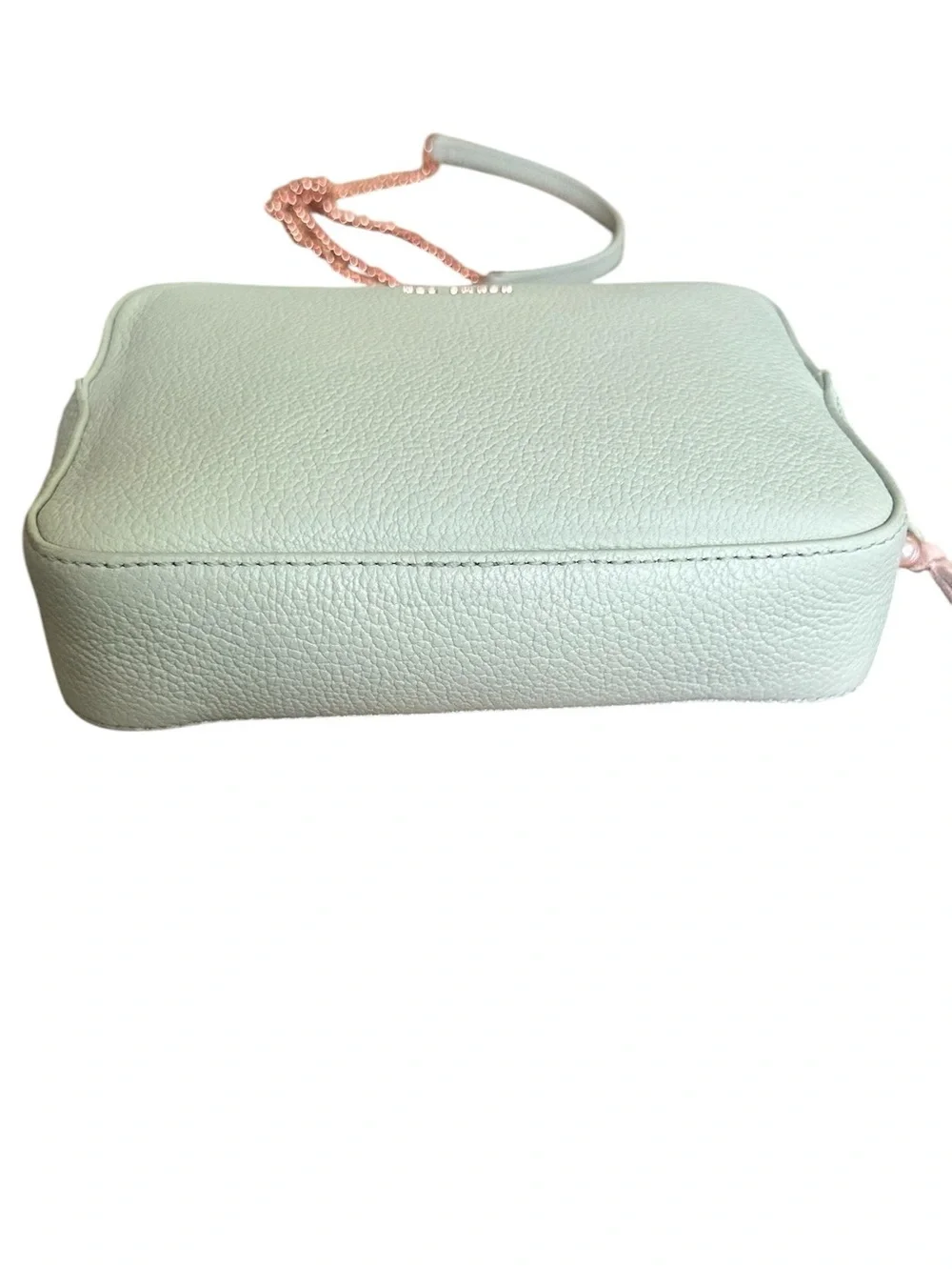 Ted Baker Mint Green Leather Camera Crossbody Rose Gold Tassel Bag